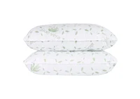 Perna matlasata Aloe Vera 50*70 2